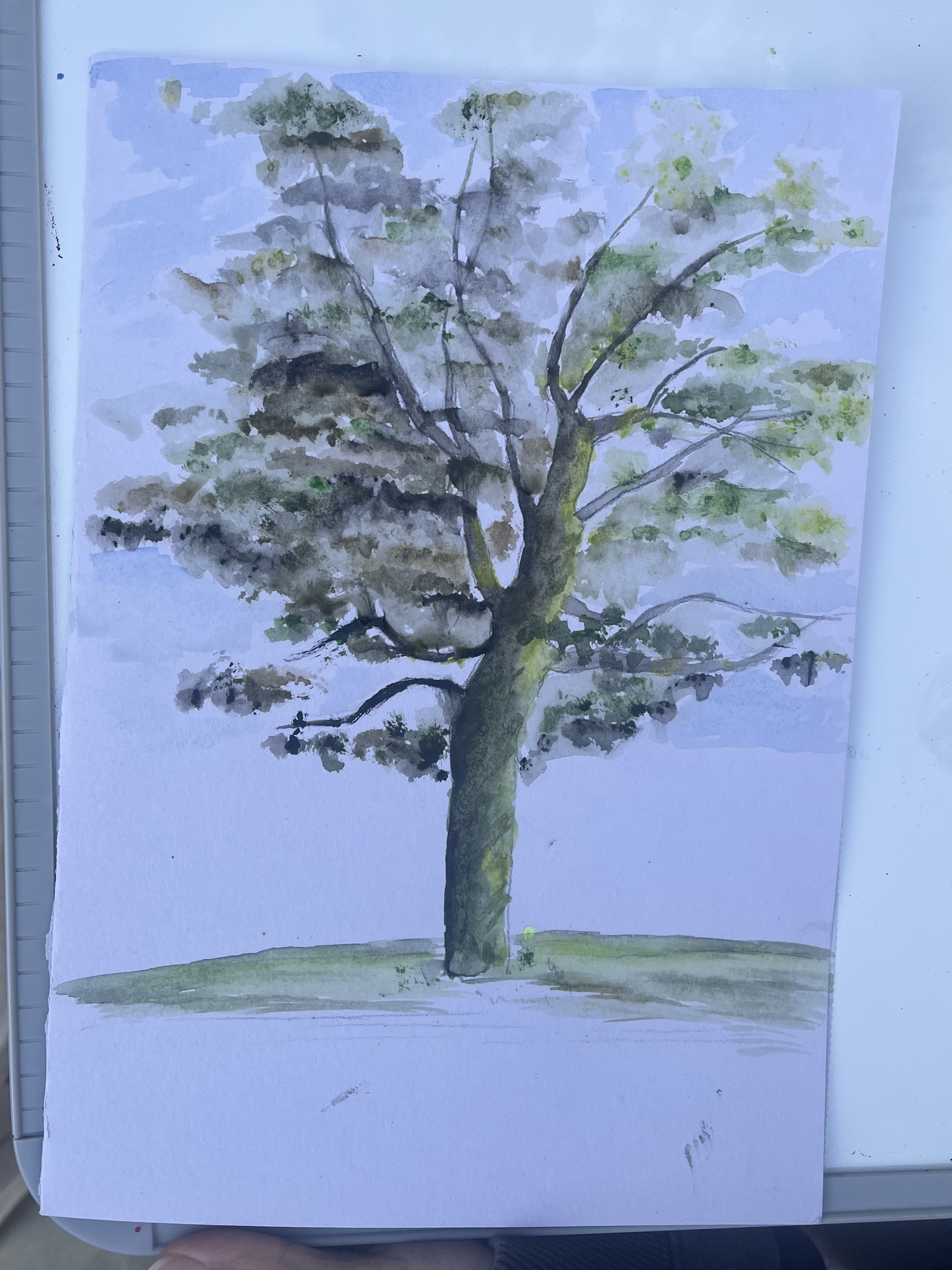 Image 2